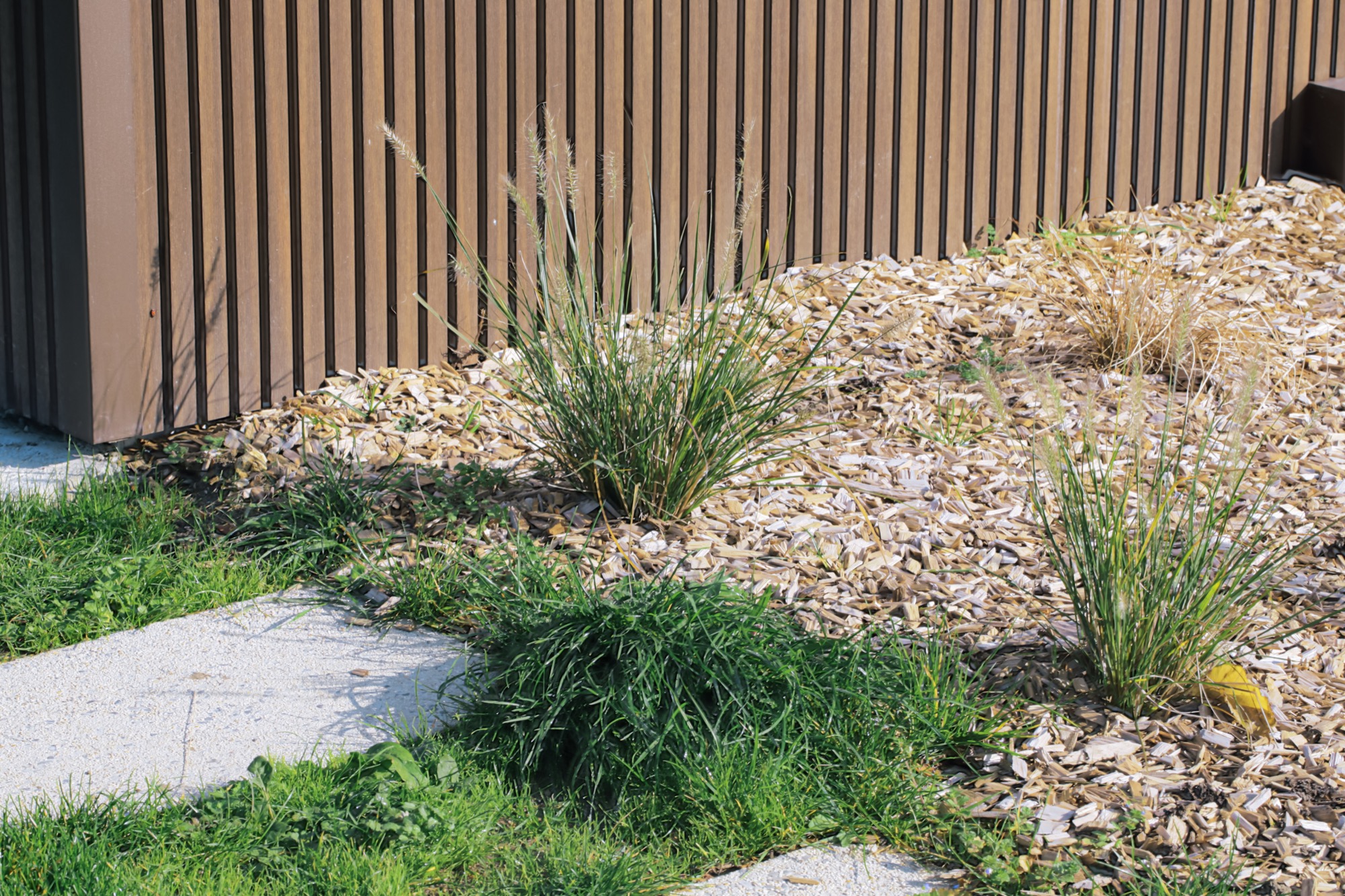 CLUB HOUSE MODULAIRE CHOISY LE ROI