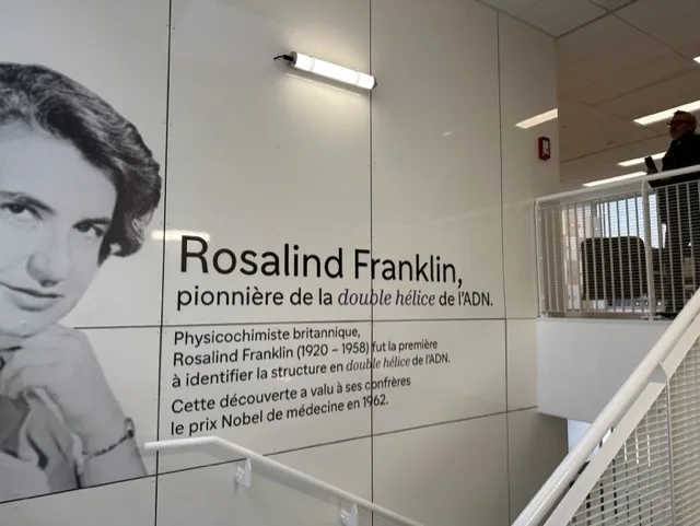 Escalier intérieur et décor mural Rosalind Franklin dans le bâtiment modulaire Sanofi à Vitry-sur-Seine